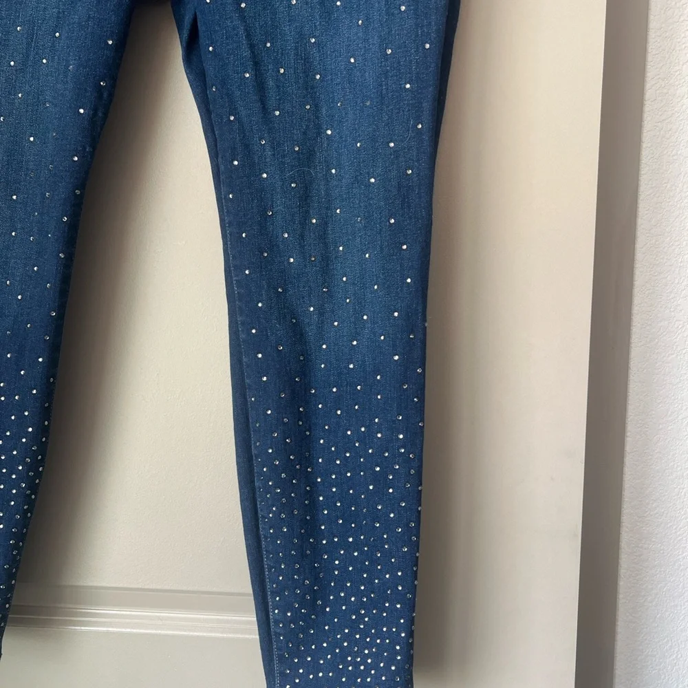 Lane Bryant Signature Fit Skinny Jean With Rhinestones - Picture 3 of 10